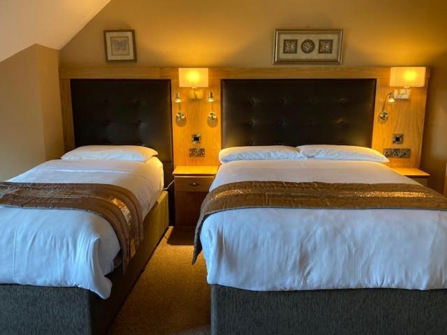 Tailors Lodge, Continental Breakfast Castleisland Extérieur photo