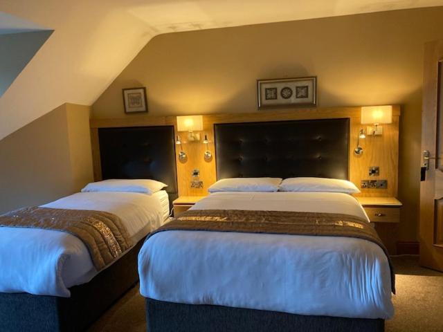 Tailors Lodge, Continental Breakfast Castleisland Extérieur photo