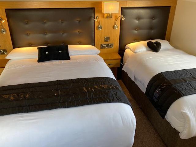 Tailors Lodge, Continental Breakfast Castleisland Extérieur photo